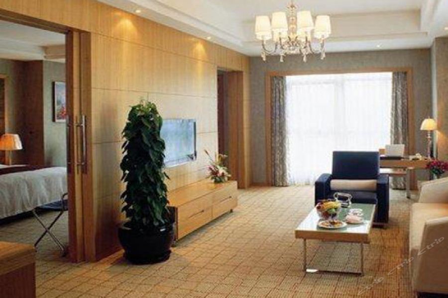 Hotel International 5*